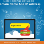 What is different Between IP Addresses and Domains
