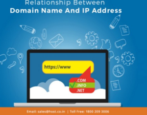 What is different Between IP Addresses and Domains - CapraHost