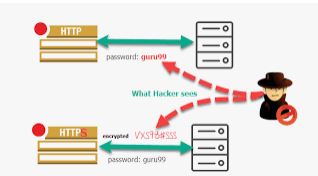 The difference between HTTP and HTTPS protocols