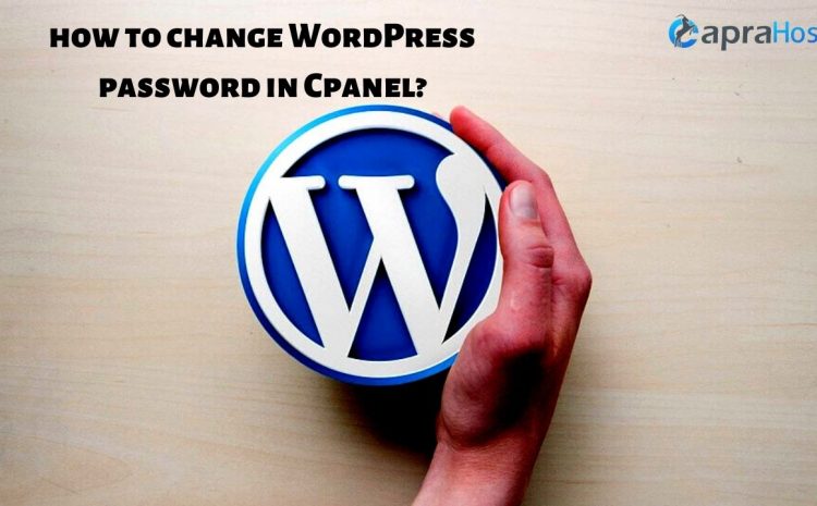 How to change WordPress Password in cPanel