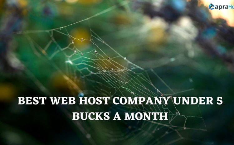 Best web host company under 5 bucks a month.