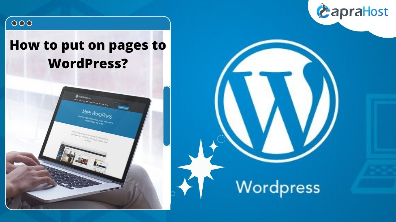 How to put on pages to WordPress