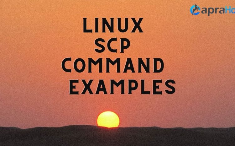 Linux SCP command examples