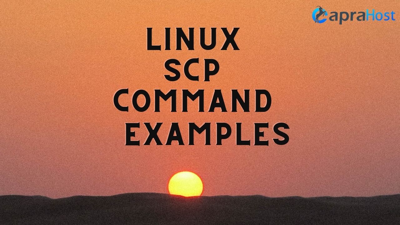 Linux SCP command examples
