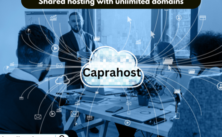 .Shared hosting with unlimited domains