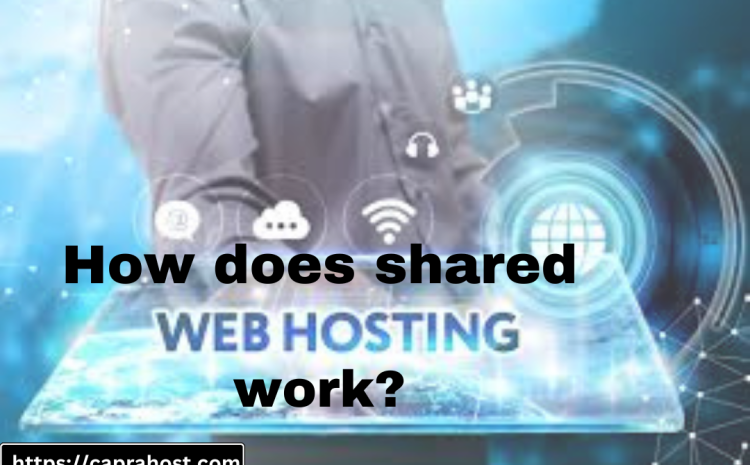 How does shared web hosting work?