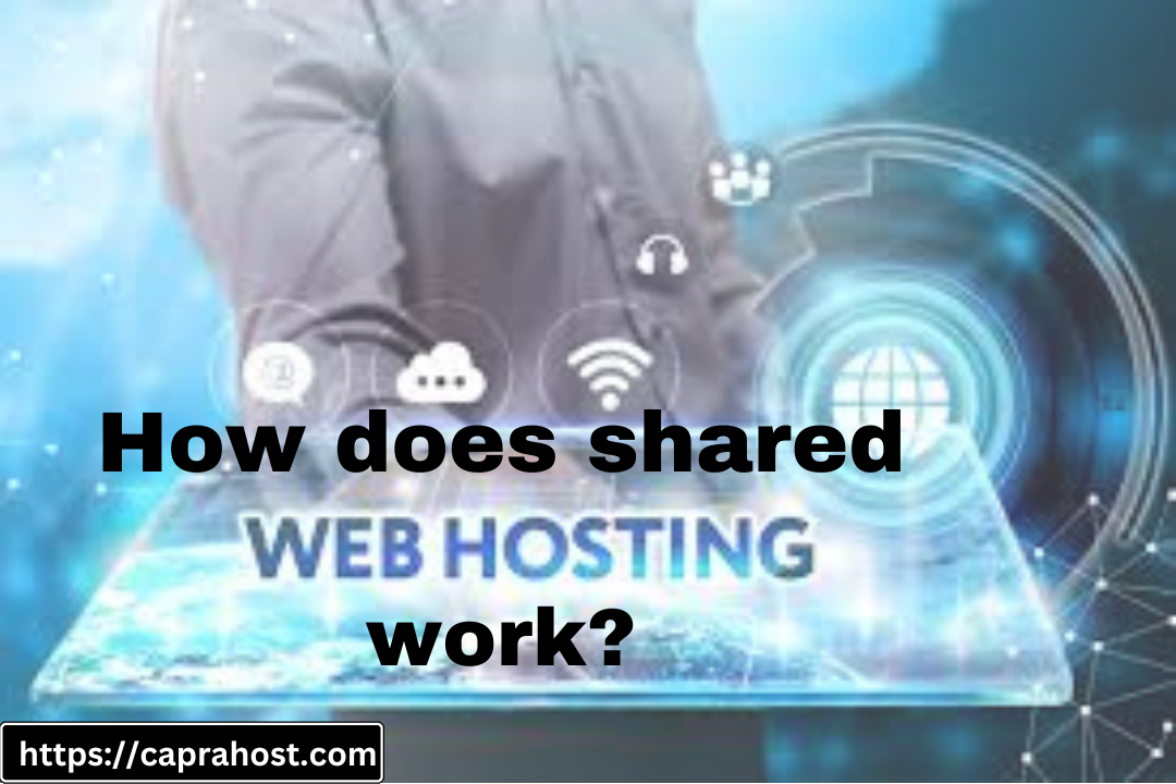 How does shared web hosting work?