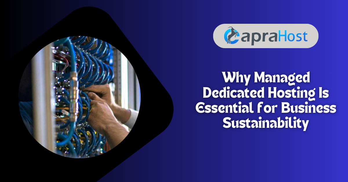 Why Managed Dedicated Hosting Is Essential for Business Sustainability